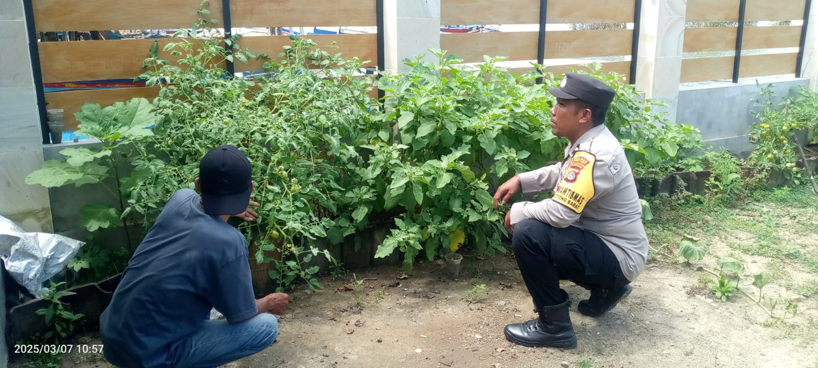 Sinergi Polri dan Warga: Kapolsek Sekotong Tinjau Pekarangan Bergizi