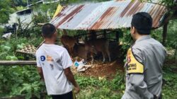 Lombok Barat Mandiri Pangan, Ini Peran Aktif Polisi