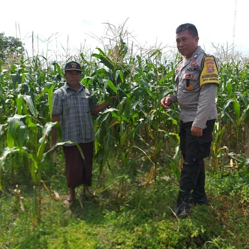 Bhabinkamtibmas Turun ke Desa, Warga Siap Tanam Jagung