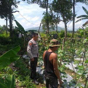 Bhabinkamtibmas Dukung Petani, Warga Semakin Semangat!