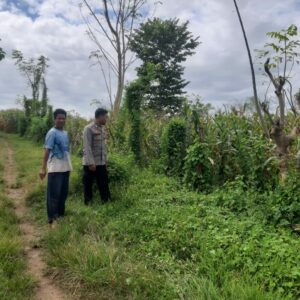 Bhabinkamtibmas Desa Nusa Jaya Pantau Pemanfaatan Lahan Pertanian, Dukung Program Ketahanan Pangan Nasional