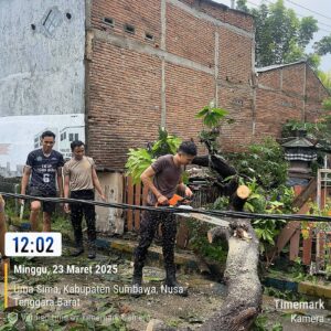 Aksi Cepat Tanggap Sat Samapta Polres Sumbawa Evakuasi Pohon Tumbang di Kebayan