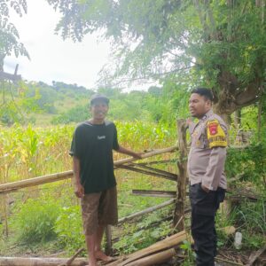 Dukung Ketahanan Pangan, Bhabinkamtibmas Karombo Pantau Lahan Pertanian Warga