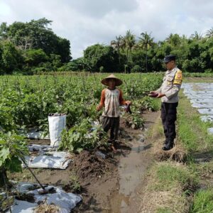 Sambangi Petani, Bhabinkamtibmas Polsek Labuhan Badas Dukung Ketahanan Pangan Nasional