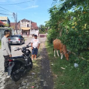 Optimalisasi Lahan Pekarangan untuk Ketahanan Pangan Keluarga