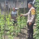 Guna Mendukung Ketahanan Pangan, Bhabinkamtibmas Ikut Bantu Serta Motivasi Warga Buat Kebun Sayur di Rhee