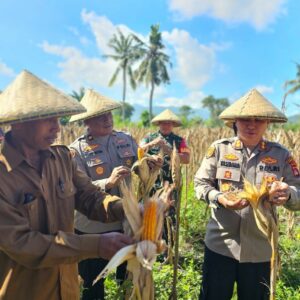 Kapolres Lombok Barat Tinjau Kesiapan Panen Raya Jagung