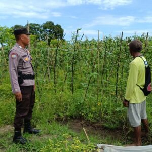 Bhabinkamtibmas Polsek Buer Dukung Ketahanan Pangan Lewat Kegiatan Sambang ke Kebun Warga Binaan