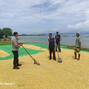 Pemantauan Proses Penjemuran Jagung oleh Bhabinkamtibmas Desa Hu’u dalam Mendukung Program Ketahanan Pangan Nasional