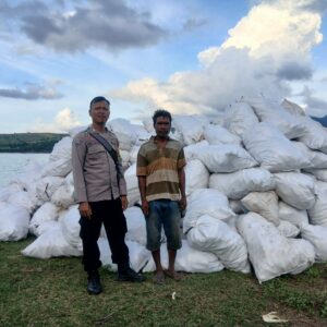 Pemantauan Panen Jagung oleh Bhabinkamtibmas Desa Mbuju dalam Rangka Mendukung Program Ketahanan Pangan Nasional