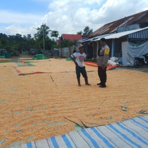 Pemantauan Panen Jagung oleh Bhabinkamtibmas Desa Karamabura Dukung Program Ketahanan Pangan Nasional Menuju Indonesia Emas 2045