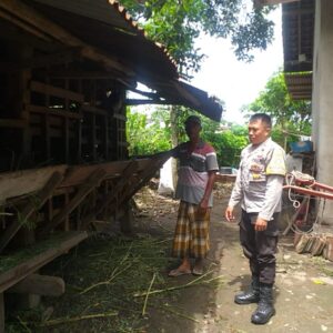 Bhabinkamtibmas Proaktif Dorong Ketahanan Pangan Warga di Kuripan