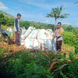 Bhabinkamtibmas Desa Woko Dampingi Petani Panen Jagung, Dukung Ketahanan Pangan Menuju Indonesia Emas 2045