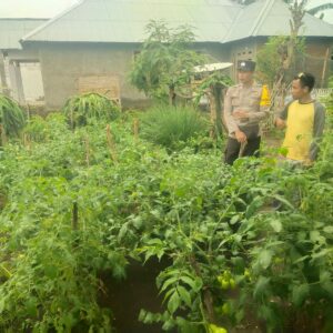 Bhabinkamtibmas Desa Lasi Dukung Pemanfaatan Lahan Pekarangan untuk Ketahanan Pangan Masyarakat