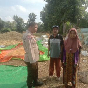 Bhabinkamtibmas Simpasai Laksanakan Pemantauan Panen Jagung Dukung Program Ketahanan Pangan Nasional Menuju Indonesia Emas 2045