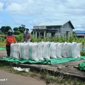 Bhabinkamtibmas Desa Hu’u Dampingi Warga Jemur Jagung, Dukung Program Ketahanan Pangan Nasional