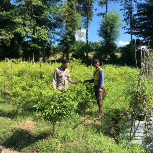 Dorong Kemandirian Pangan, BKTM Katua Bina Warga Kembangkan Kebun Sayur di Pekarangan