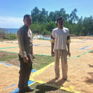 Bhabinkamtibmas Kawal Panen Jagung di Mbuju, Dukung Program Ketahanan Pangan Menuju Indonesia Emas