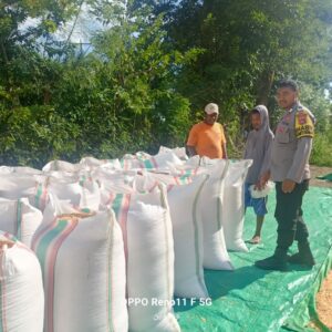 Bhabinkamtibmas Desa Adu Dampingi Warga Jemur Jagung, Dukung Ketahanan Pangan Nasional
