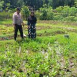 Bhabinkamtibmas Desa Baka Jaya Pantau Lahan Hortikultura Dukung Program Ketahanan Pangan Nasional
