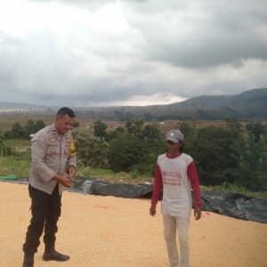 Bhabinkamtibmas Desa Saneo Pantau Panen Jagung Dukung Ketahanan Pangan Nasional