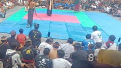 Peresean Meriahkan HUT Lombok Barat ke-67, Penonton Membludak