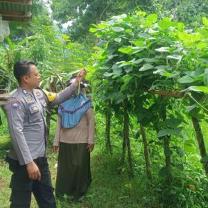 Sukseskan Ketahanan Pangan, Bhabinkamtibmas Desa Seran Dampingi Warga Kelola Lahan Pangan Bergizi