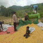 Dukung Ketahanan Pangan, Bhabinkamtibmas Desa Ranggo Pantau Penggilingan Jagung Petani