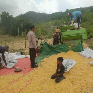 Dukung Ketahanan Pangan, Bhabinkamtibmas Desa Ranggo Pantau Penggilingan Jagung Petani