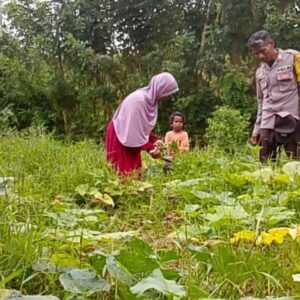 Optimalkan Lahan Kosong, Petani Kareke Dukung Ketahanan Pangan Menuju Indonesia Emas 2025