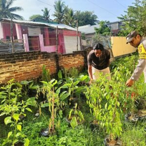 Optimalisasi Pekarangan, Bhabinkamtibmas Nowa Pantau Pengolahan Lahan Sayur Warga