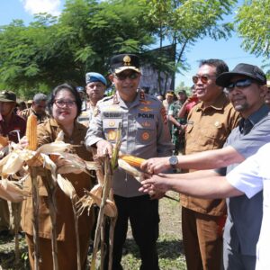 Kapolda NTB Dampingi Mentan RI Panen Raya Jagung di Sumbawa