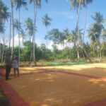 Bhabinkamtibmas Lasi Pantau Panen Jagung Warga Dukung Ketahanan Pangan Nasional