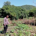 Dukung Program Ketahanan Pangan Nasional, Bhabinkamtibmas Monta Baru Pantau Lahan Sayur Warga