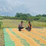 Pantau dan Bantu Petani di Wilayah Binaan Bhabinkamtibmas Polsek Tambora Dukung Penuh Program Prioritas Presiden RI