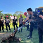 Siaga Bencana, Satsamapta Polres Bima Gelar Latihan Penggunaan Peralatan Search and Rescue