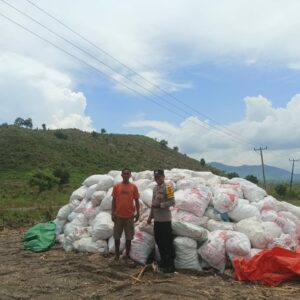 Bhabinkamtibmas Desa Riwo pantau panen jagung dalam mendukung program ketahanan pangan nasional menuju Indonesia Emas 2045