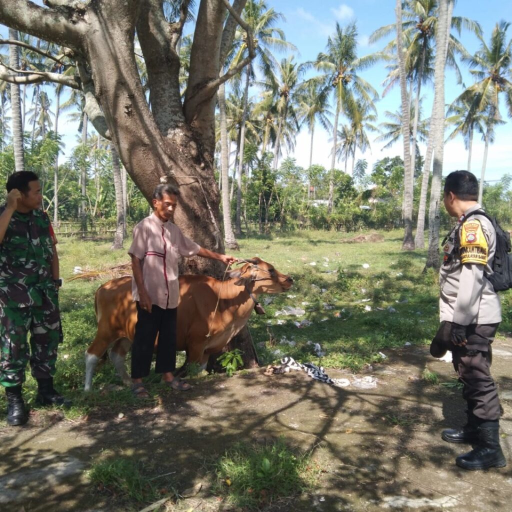 Pemanfaatan Pekarangan untuk Ketahanan Pangan di Batulayar