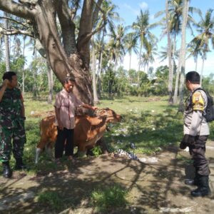 Pemanfaatan Pekarangan untuk Ketahanan Pangan di Batulayar