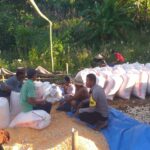 Dukungan Polri Terhadap Petani: Bhabinkamtibmas Monitoring Panen Jagung di Lombok Barat