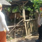 Bhabinkamtibmas Sekotong Dorong Warga Manfaatkan Pekarangan untuk Ketahanan Pangan