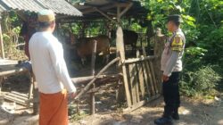 DDS Bhabinkamtibmas Sekotong: Sinergi Polri dan Masyarakat untuk Ketahanan Pangan