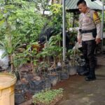 Sinergi Polri dan Warga Dukung Ketahanan Pangan di Lombok Barat