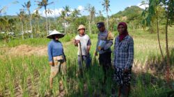 Bhabinkamtibmas Desa Giri Tembesi Berikan Motivasi dan Saran Pertanian kepada Petani