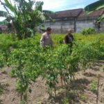 Peran Bhabinkamtibmas dalam Mendorong Ketahanan Pangan Desa