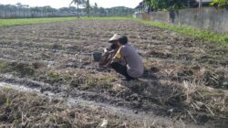 Bhabinkamtibmas Desa Kuripan Beri Motivasi Pemanfaatan Pekarangan untuk Ketahanan Pangan