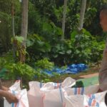 Sinergi Polri dan Petani Wujudkan Ketahanan Pangan di Sekotong