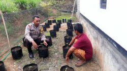 Polres Lombok Tengah Terus Gelorakan Program Pekarangan Bergizi di Tengah Masyarakat