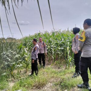 Sinergi Polri dan Petani: DDS Bhabinkamtibmas Dukung Ketahanan Pangan