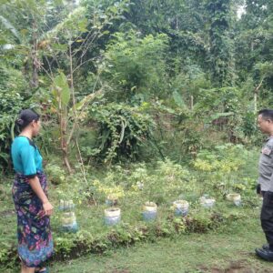 Polsek Batulayar Dorong Kemandirian Pangan Lewat Pemanfaatan Lahan Pekarangan